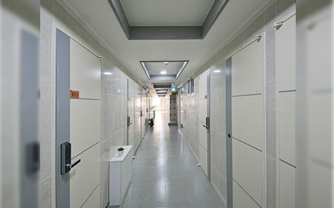 개별 와이파이, 초고속인터넷